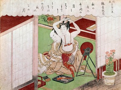 Il toilette dell