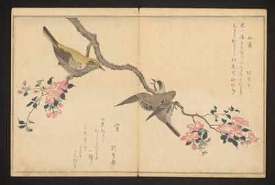 Cincia e usignolo da Kitagawa Utamaro