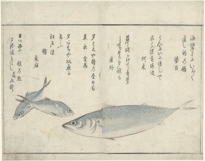 Tre pesci da Kitao Masayoshi