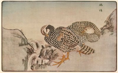 Fagiani, 1789, 1924 da Kitao Masayoshi