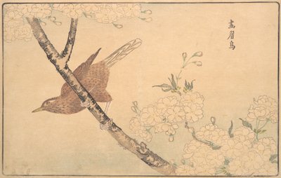 Il tordo grigio, 1789 da Kitao Masayoshi
