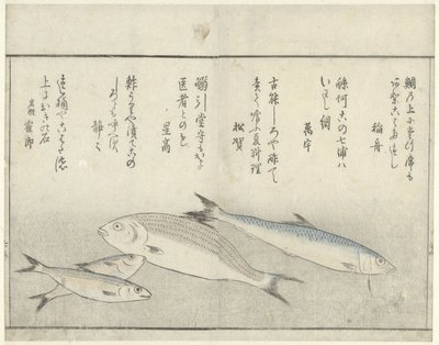 Quattro pesci da Kitao Masayoshi