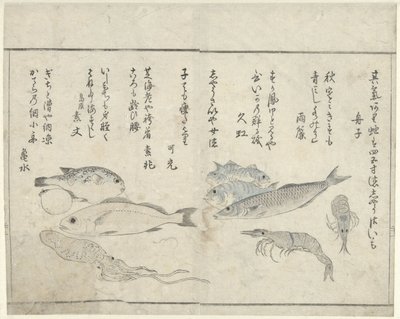 Animali marini da Kitao Masayoshi