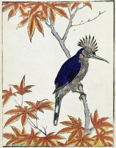 Uccello su un albero. Disegno giapponese di Kitao Kosuisai da Kitao Shigemasa