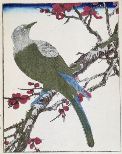 Uccello su un albero. Disegno giapponese di Kitao Kosuisai da Kitao Shigemasa