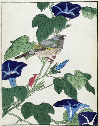 Uccello su un albero. Disegno giapponese di Kitao Kosuisai da Kitao Shigemasa