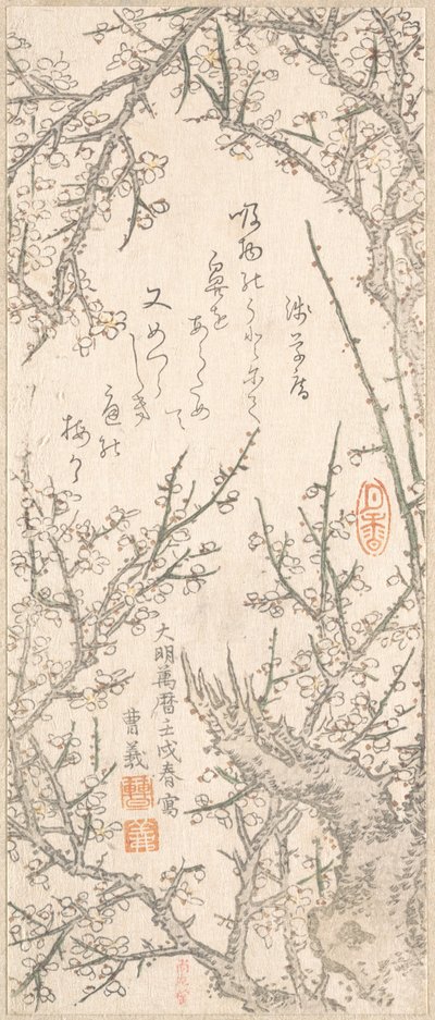 Albero di prugne in fiore da Kitao Shigemasa