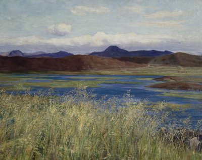 Paesaggio di Jæren da Kitty Lange Kielland