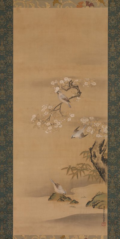 Cedar Waxwings, Fiori di Ciliegio e Bambù, fine XVII secolo da Kiyohara Yukinobu