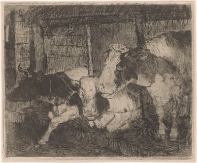 Stalla con tre mucche da Klaas van Leeuwen