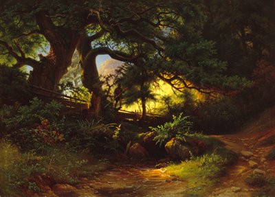 Sezione forestale con boscaiolo da Knud Andreassen Baade