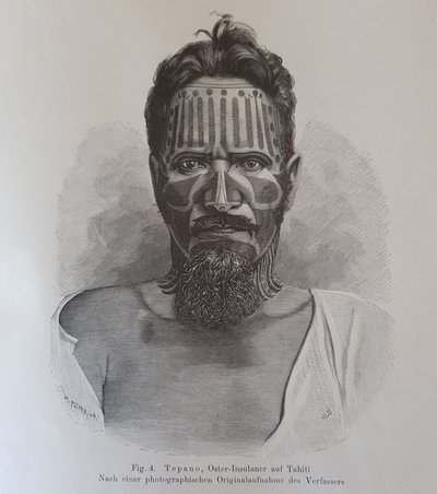 Juan Tepano, illustrazione da "Über die Tätowirung der Oster-Insulaner", di Hjalmar Stolpe da Knut Hjalmar (after) Stolpe