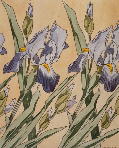 Iris, 1898 da Koloman Moser