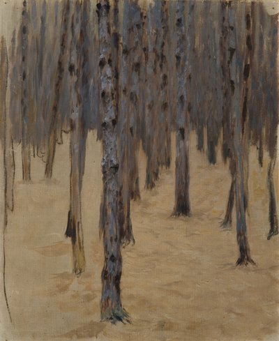 Foresta di conifere nella neve da Koloman Moser
