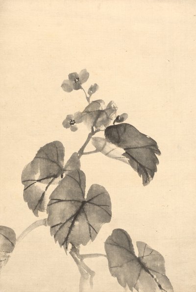 Ramo di begonia in fiore da Kono Bairei