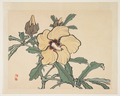 Alcea fiorita da Kono Bairei