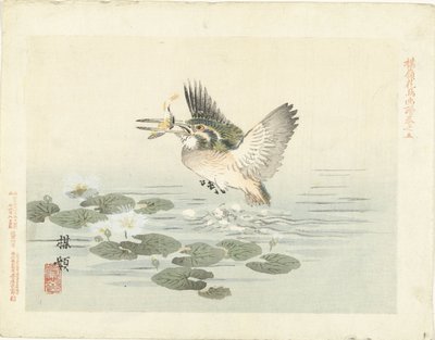 Martin pescatore (serie: Schizzi di fiori e uccelli di Bairei) da Kono Bairei