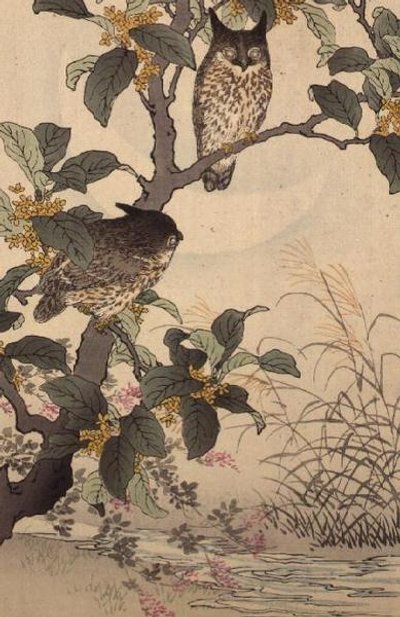 Due gufi su un albero da Bunrei Kacho Gafu di Kono Bairei (1844-95), pub. 1885 da Kono Bairei