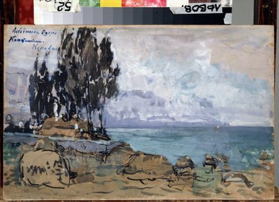 Bozzetto per il balletto Il lago dei cigni di Pëtr Il