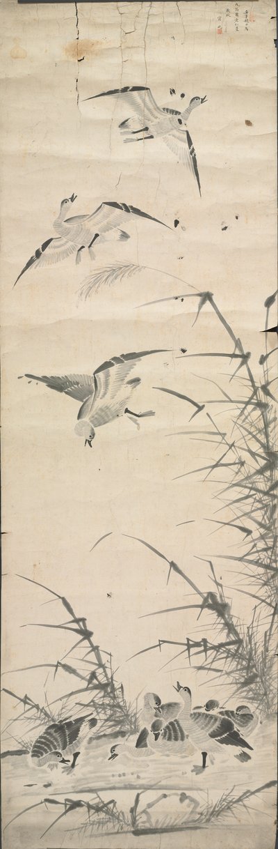 Oche selvatiche e canne da Korea, Joseon dynasty