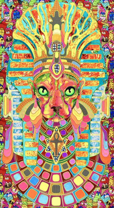 Il vivace gatto faraone da Kostyantin Malginov