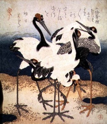 Cinque gru con piume bianche in varie pose su una lingua di sabbia, dalla serie Tre Petali, c.1816 da Kubo Shumman