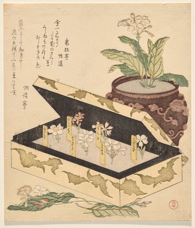 Assortimento di primule in una scatola di lacca da Kubo Shunman