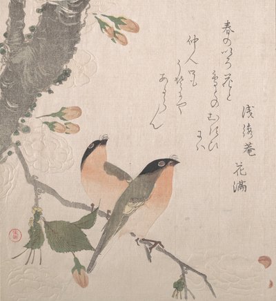 Cinciarelle e fiori di ciliegio da Kubo Shunman