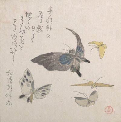 Farfalle, XIX secolo da Kubo Shunman