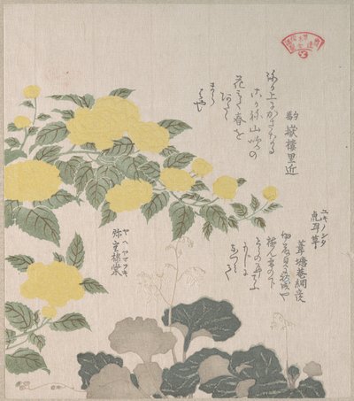  da Kubo Shunman