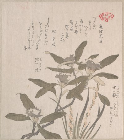  da Kubo Shunman