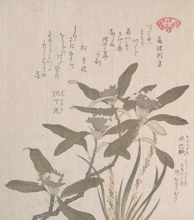 Daphne odora e Mojisuri-so da Kubo Shunman