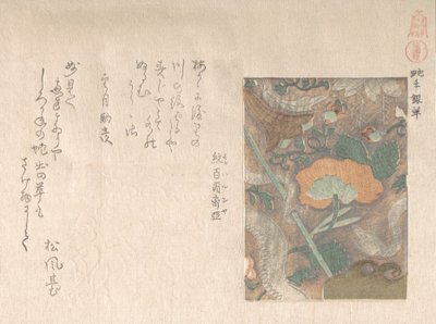 Design di pelli importate, 19° secolo da Kubo Shunman