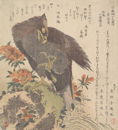Aquila su una roccia, azalee in fiore, ca. 1800 da Kubo Shunman