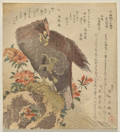 Aquila con un artiglio sollevato su una roccia vicino a un cespuglio di azalee da Kubo Shunman