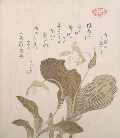 Fiori di Hotei da Kubo Shunman