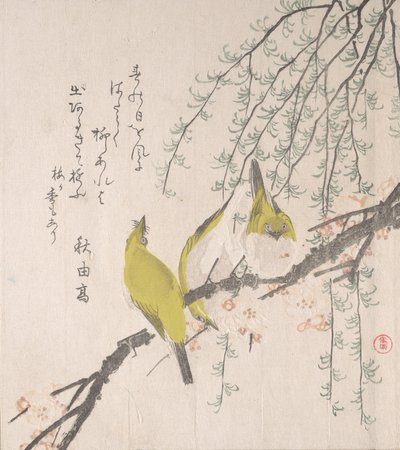 Occhi Bianchi Giapponesi con Albero di Prugna e Salice da Kubo Shunman