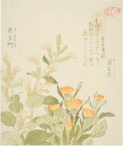 Calendula e fiori di Rashomon, dalla serie "Collezione di piante per il circolo poetico Kasumi" da Kubo Shunman