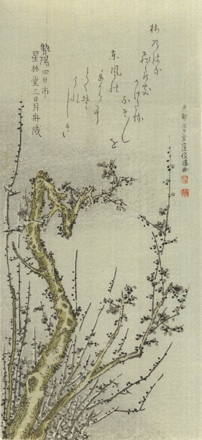 Vecchio albero di prugne da Kubo Shunman