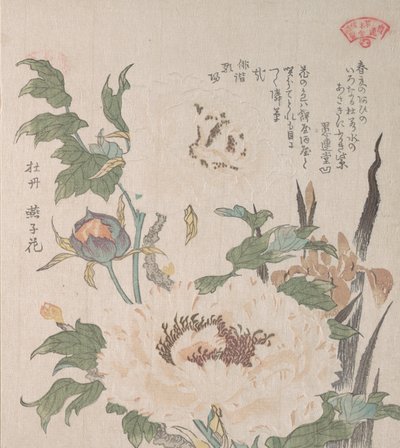 Peonie e iris da Kubo Shunman