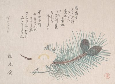 Pini e fiori di ciliegio da Kubo Shunman