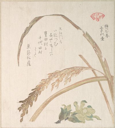  da Kubo Shunman