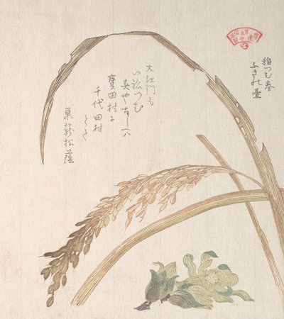 Pianta di riso e farfara, XIX secolo da Kubo Shunman