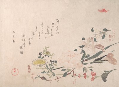 Rosa, iris, primula e margherita, 1815 da Kubo Shunman