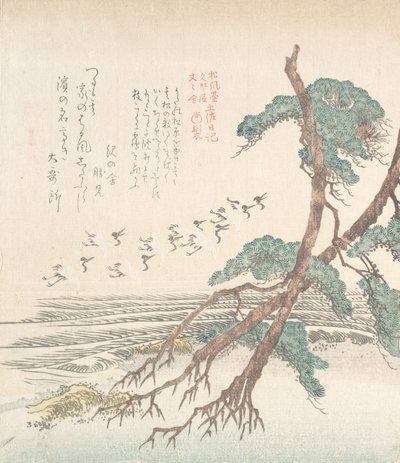 Paesaggio marino con pini e gru in volo, XIX secolo da Kubo Shunman