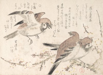 Passeri e fiori di prugno, XIX secolo da Kubo Shunman