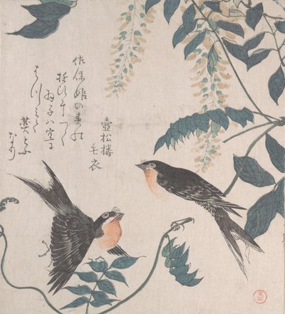 Rondini e Glicine da Kubo Shunman