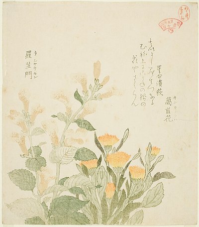 La calendula comune e i fiori di Rajoman da Kubo Shunman