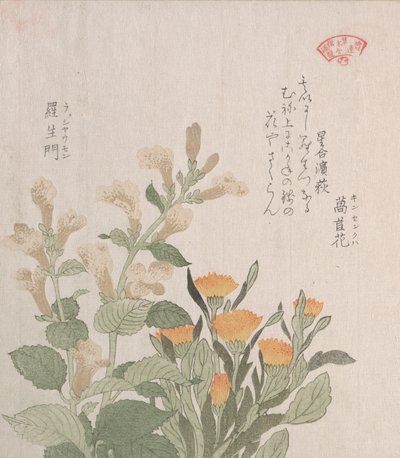 La calendula comune e i fiori di Rajoman da Kubo Shunman