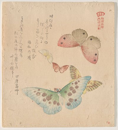 Il Manuale di Pittura del Branco di Farfalle (Guncho? Gafu) da Kubo Shunman